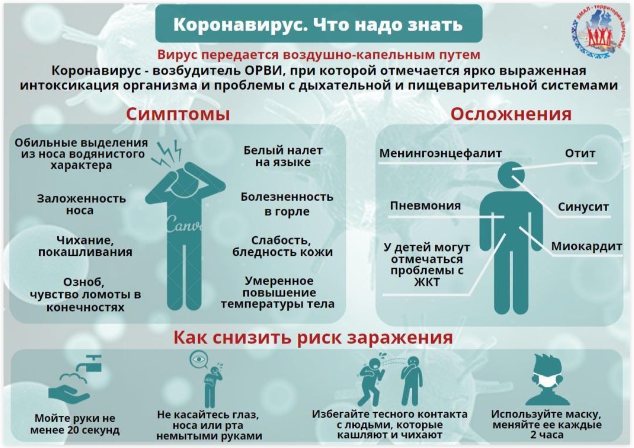 Что нужно знать о коронавирусе: как им не заразиться и какие симптомы  опасны – Государственное бюджетное учреждение здравоохранения Ярославской  области «Областная клиническая больница»